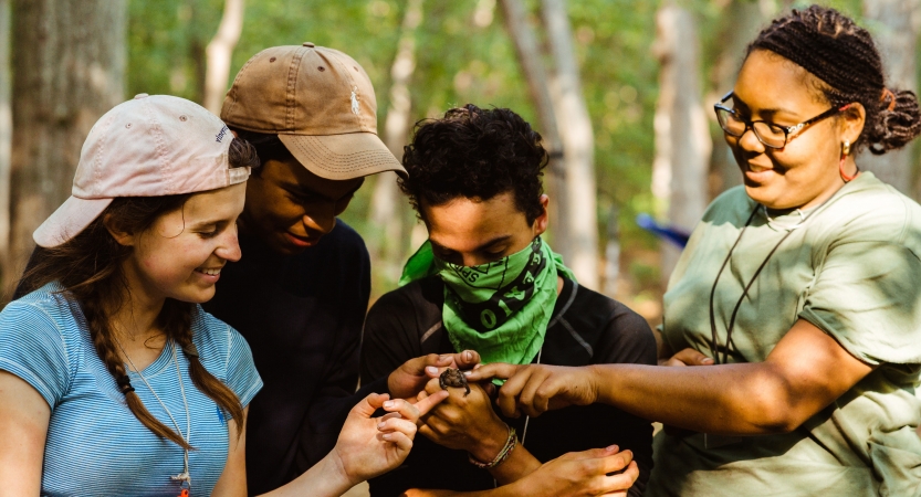 A young person holds a small reptile while three others gently pet it